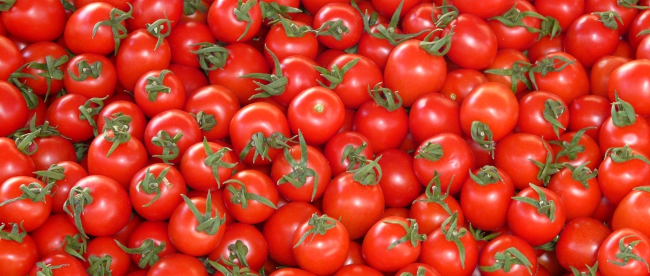 tomates pelado vapor solar